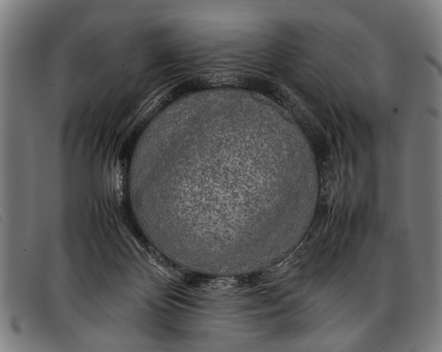 X0000097860124200804041537