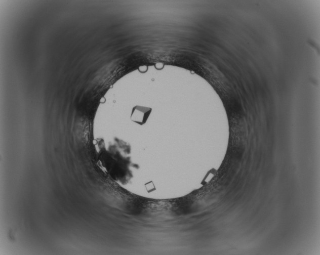 X0000097860125200804041537