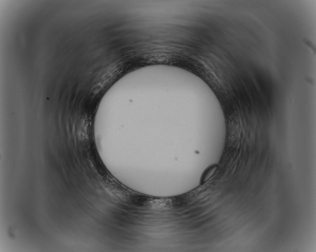 X0000097860126200804041537