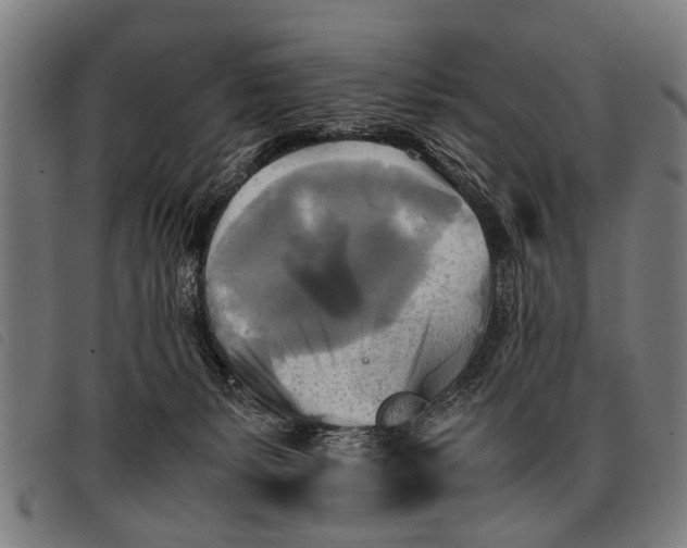 X0000097860127200804041537