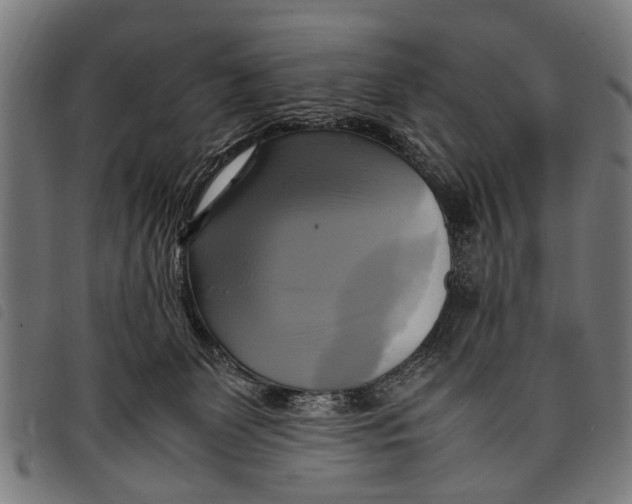 X0000097860131200804041537