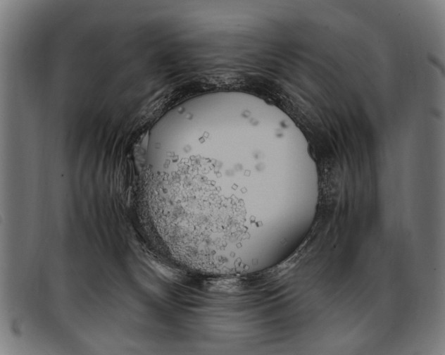 X0000097860132200804041537