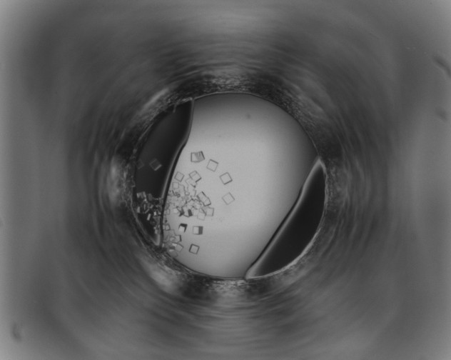 X0000097860136200804041537