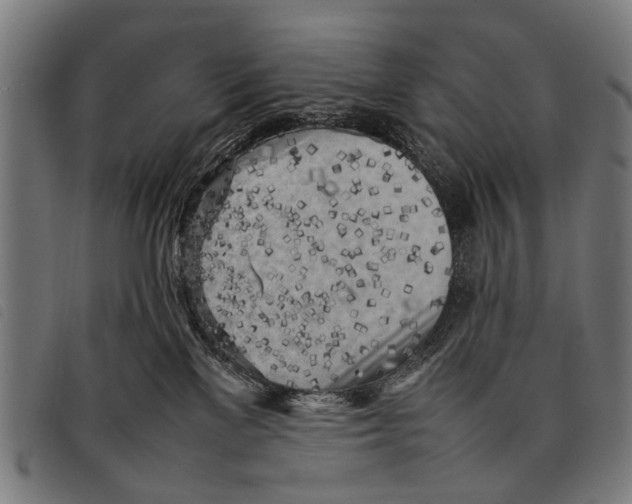 X0000097860137200804041537