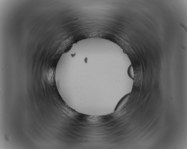 X0000097860142200804041536