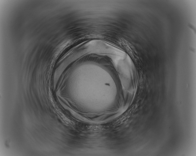 X0000097860145200804041536