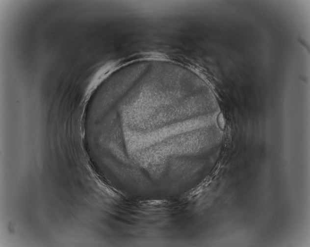 X0000097860151200804041536