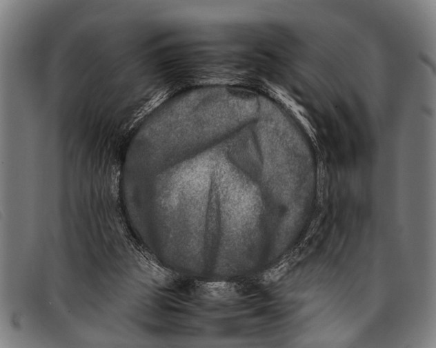 X0000097860153200804041536