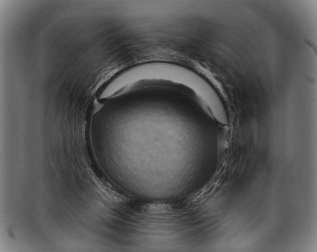 X0000097860154200804041536