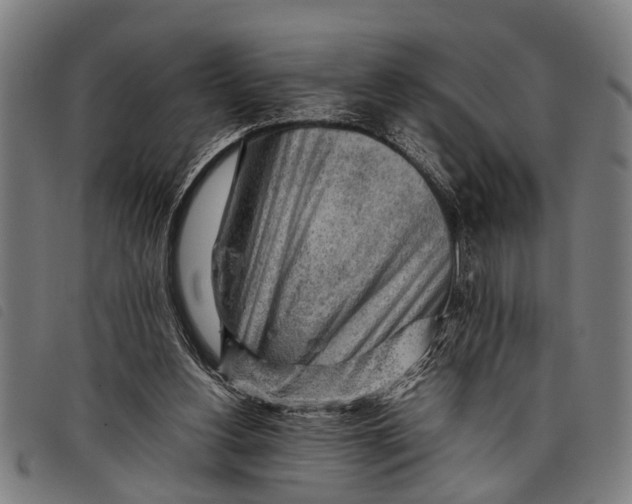 X0000097860156200804041536