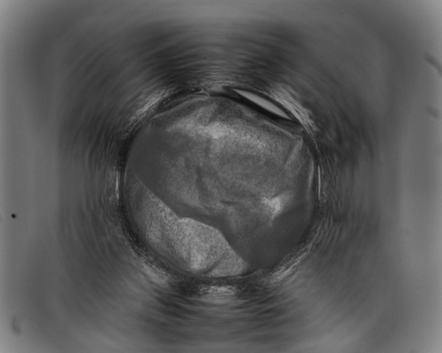 X0000097860157200804041536