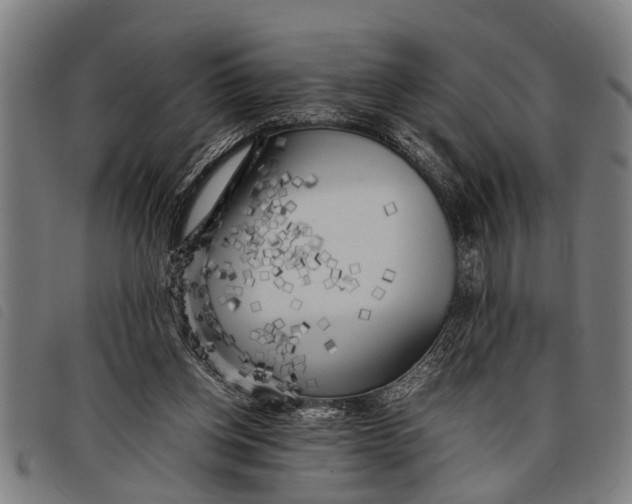 X0000097860158200804041536