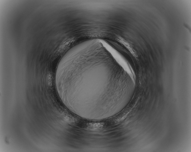 X0000097860161200804041536