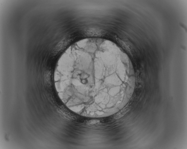 X0000097860162200804041536