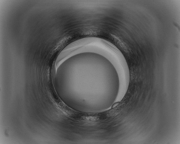 X0000097860163200804041536