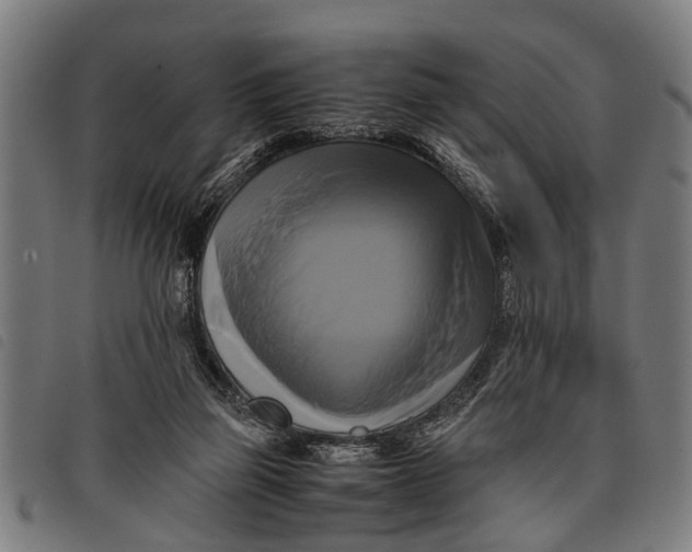 X0000097860165200804041536