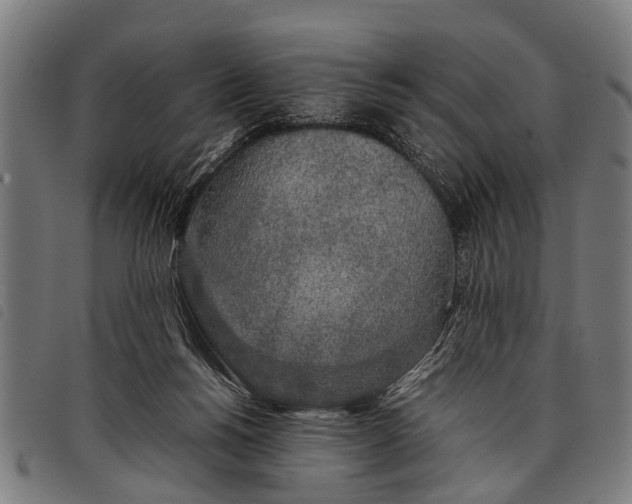 X0000097860168200804041536