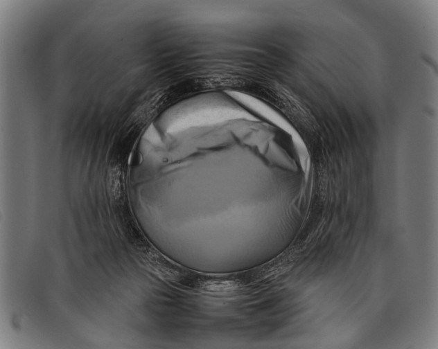 X0000097860169200804041536