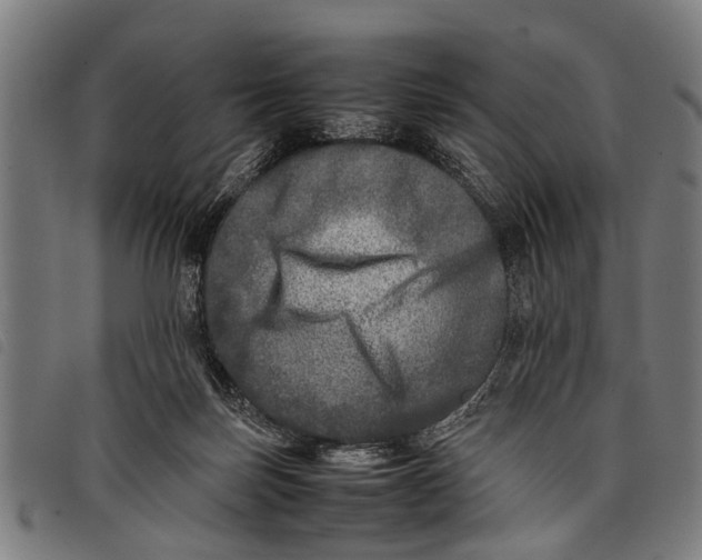 X0000097860171200804041536