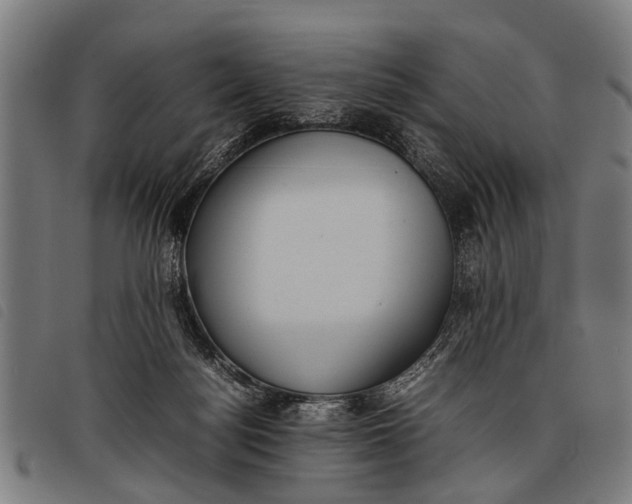 X0000097860172200804041536