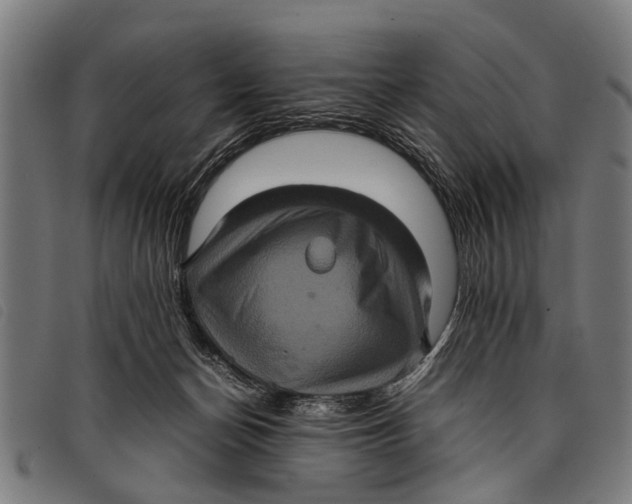 X0000097860174200804041536