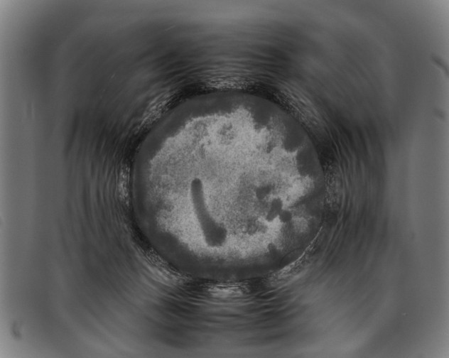 X0000097860175200804041536