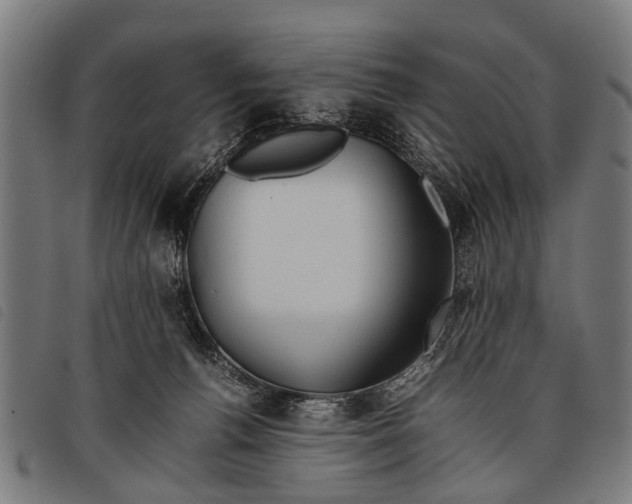 X0000097860176200804041536