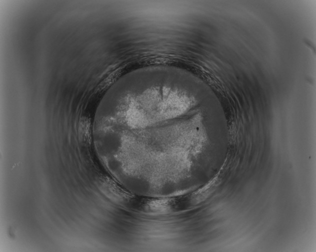 X0000097860178200804041536