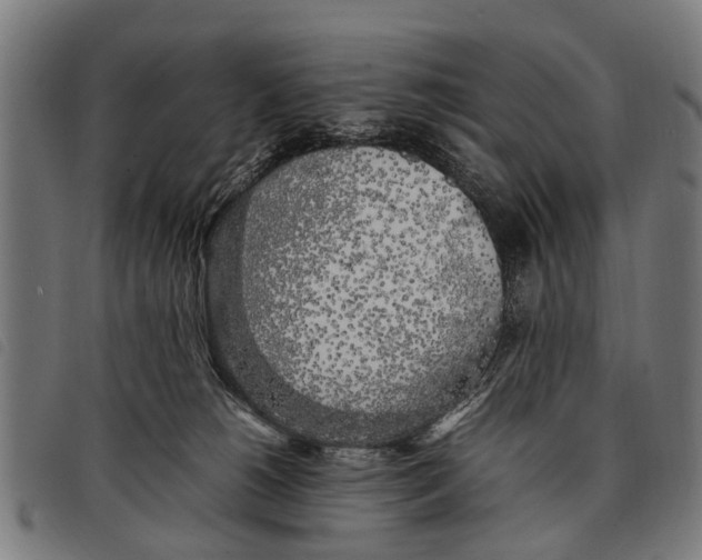 X0000097860180200804041536