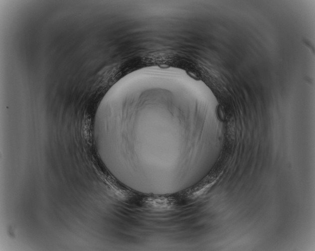 X0000097860181200804041536