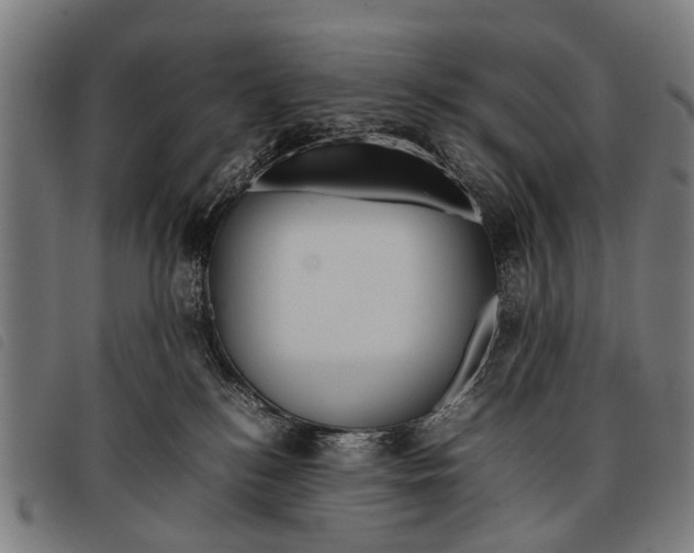 X0000097860184200804041536