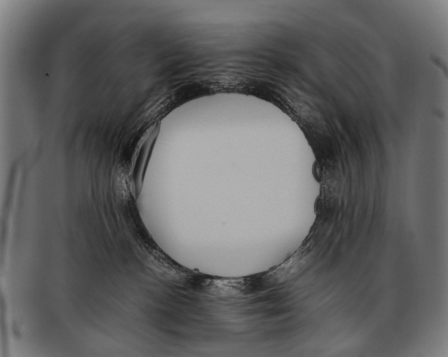 X0000097860188200804041536