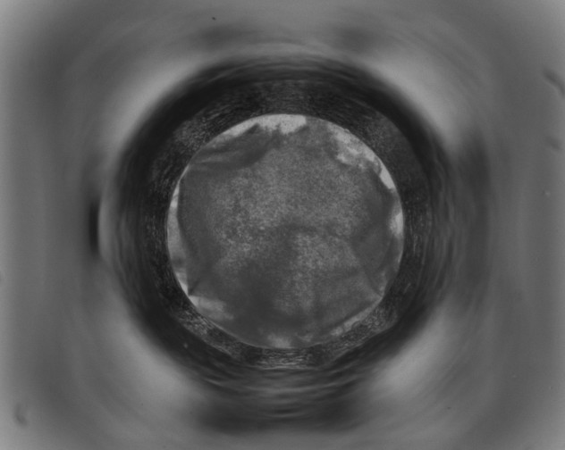 X0000097860189200804041536