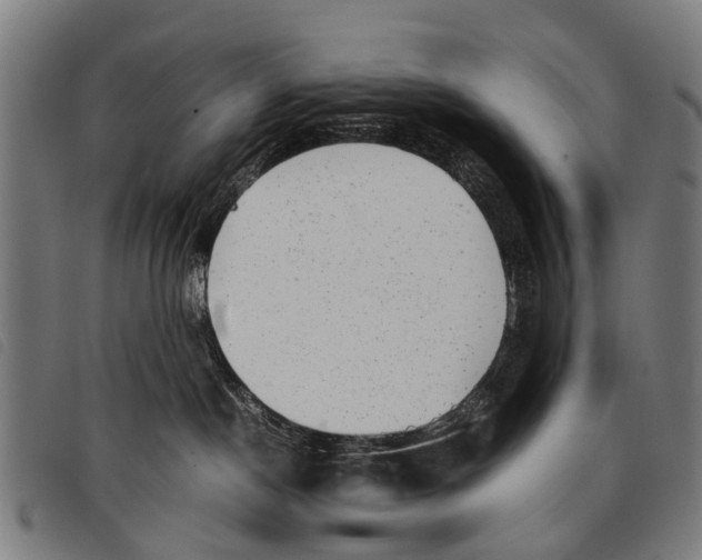 X0000097860190200804041536