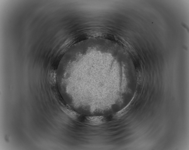 X0000097860191200804041536