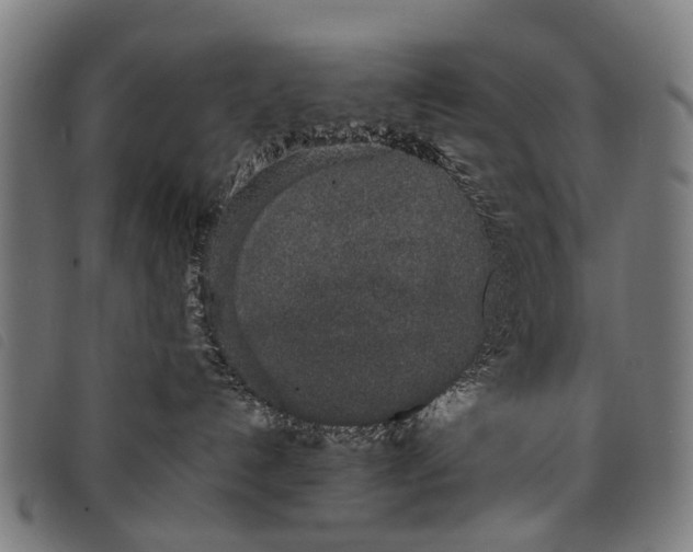 X0000097860192200804041536