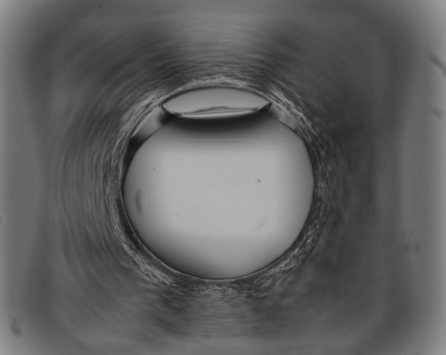 X0000097860193200804041536