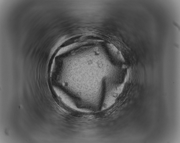 X0000097860195200804041536