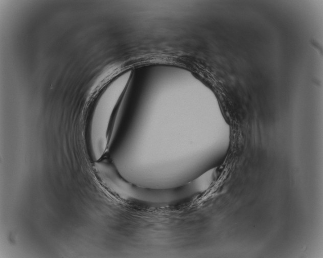 X0000097860197200804041536