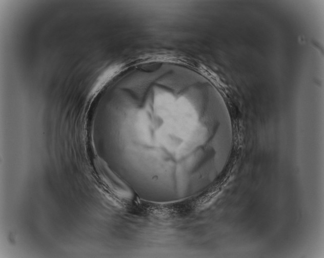 X0000097860199200804041536