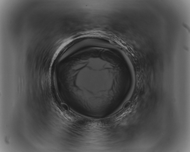 X0000097860200200804041536