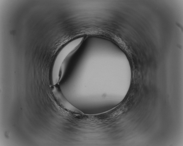 X0000097860201200804041536