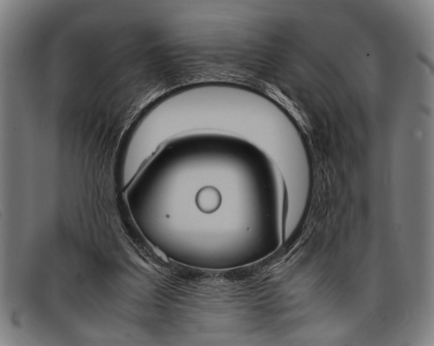 X0000097860203200804041535