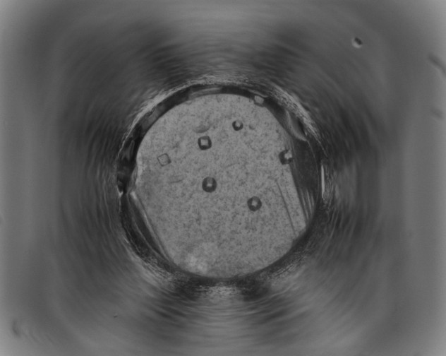 X0000097860204200804041535