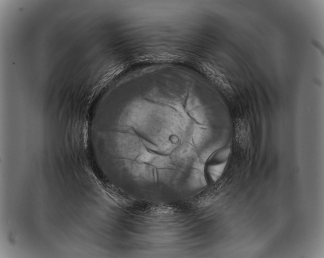 X0000097860206200804041535