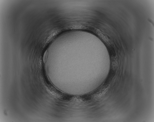 X0000097860207200804041535