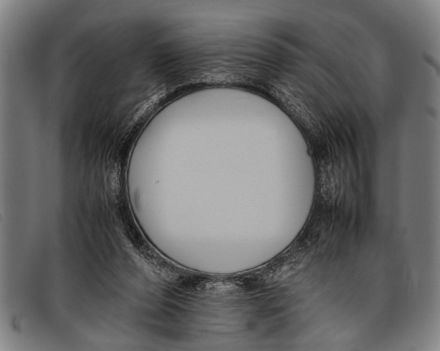 X0000097860208200804041535