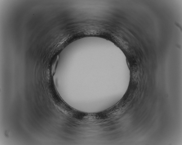 X0000097860211200804041535