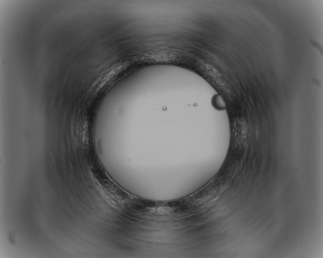 X0000097860212200804041535