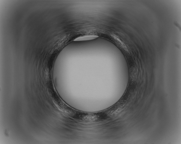 X0000097860213200804041535